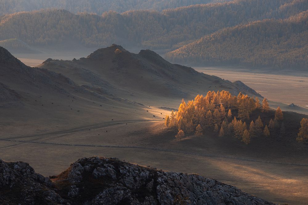 Фотография автора Сергей Буторин