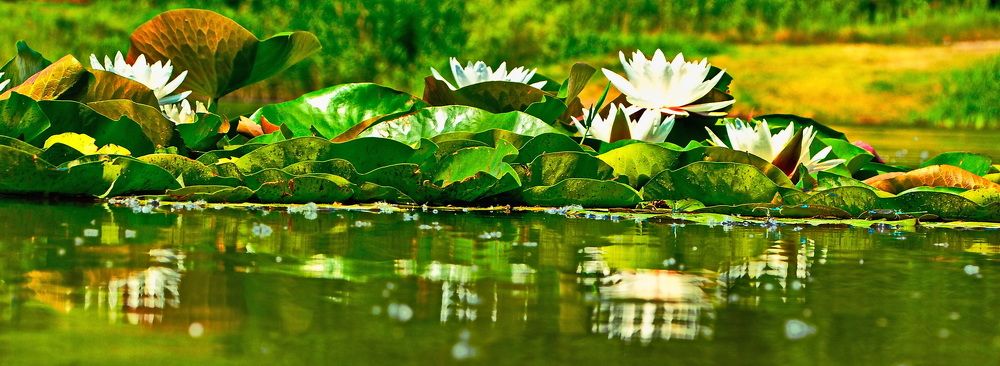 Photograph by Александр