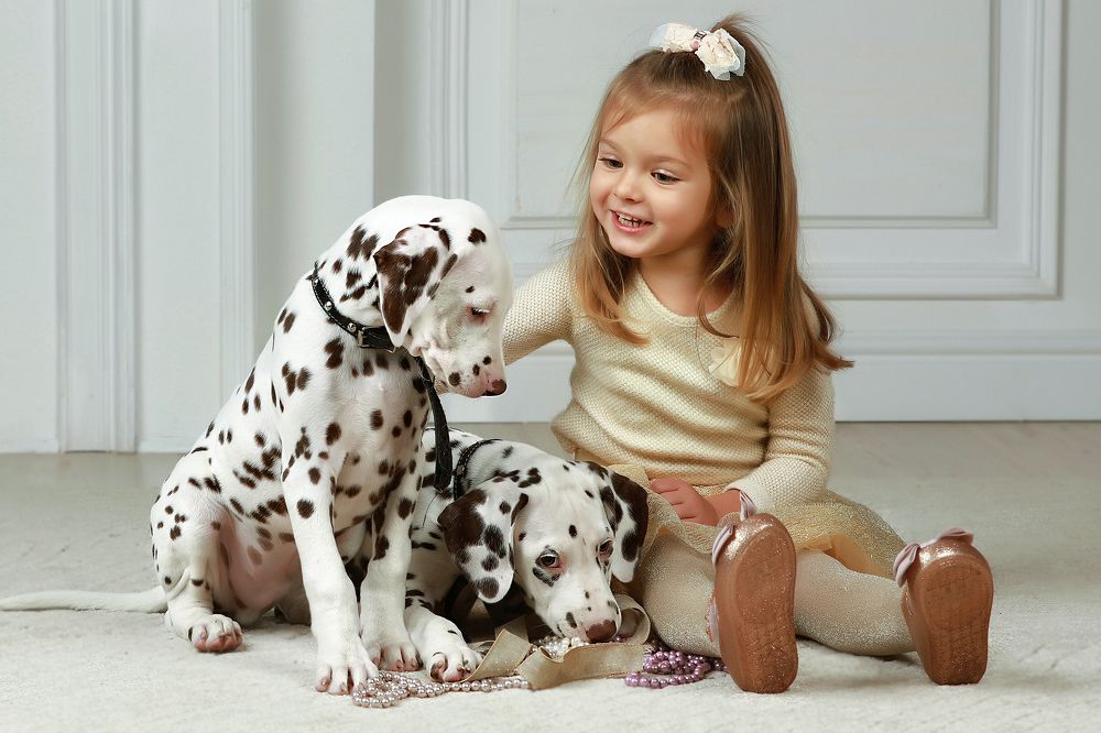 Photograph by Наталья Суслова