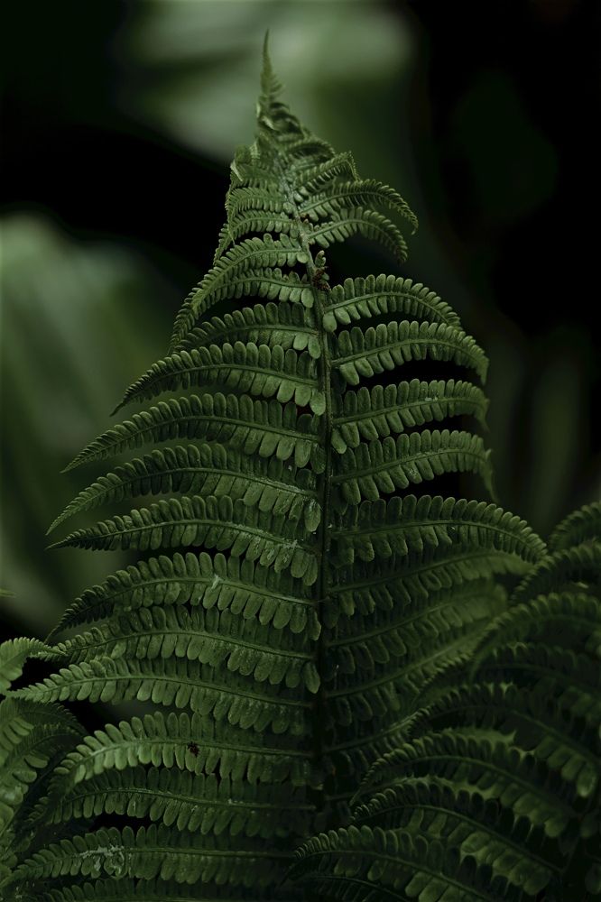 Photograph by Anastasia Astakhova