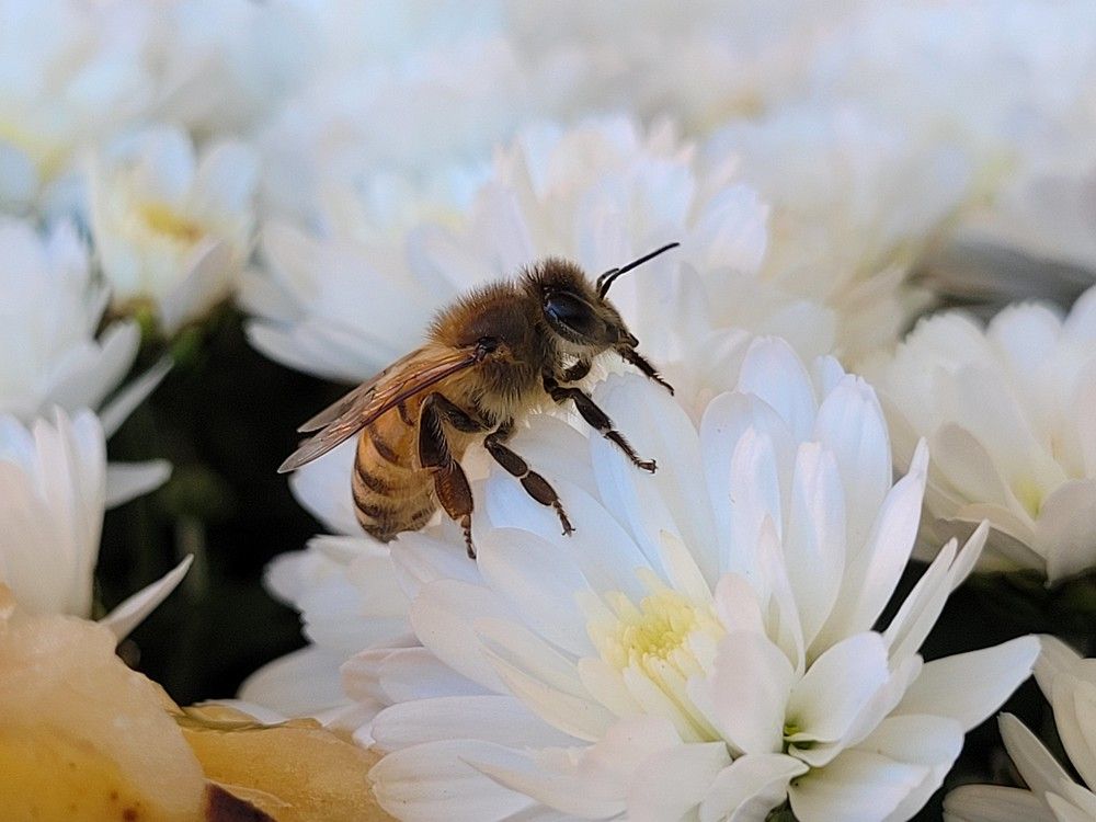 Photograph by Catherine Walter-Prêtre