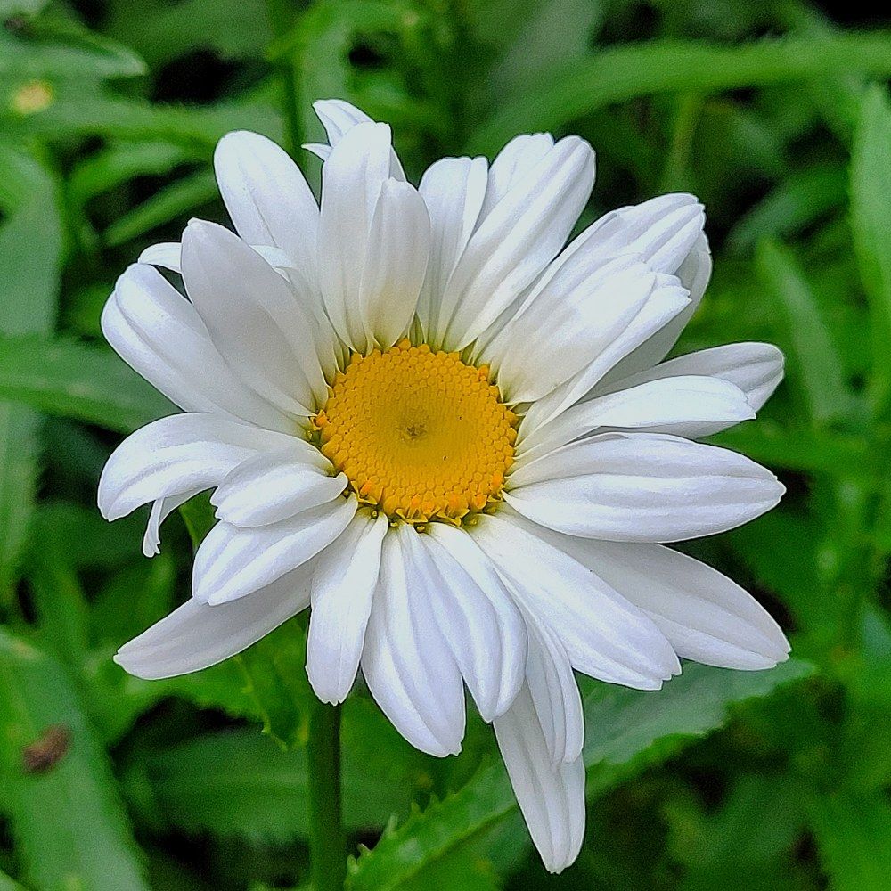 Photograph by Catherine Walter-Prêtre