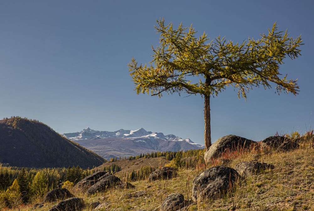 Photograph by Елена Павлова