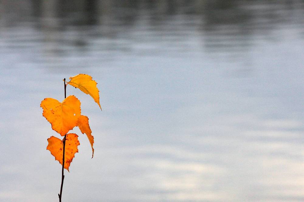 Photograph by Евгений Фонин