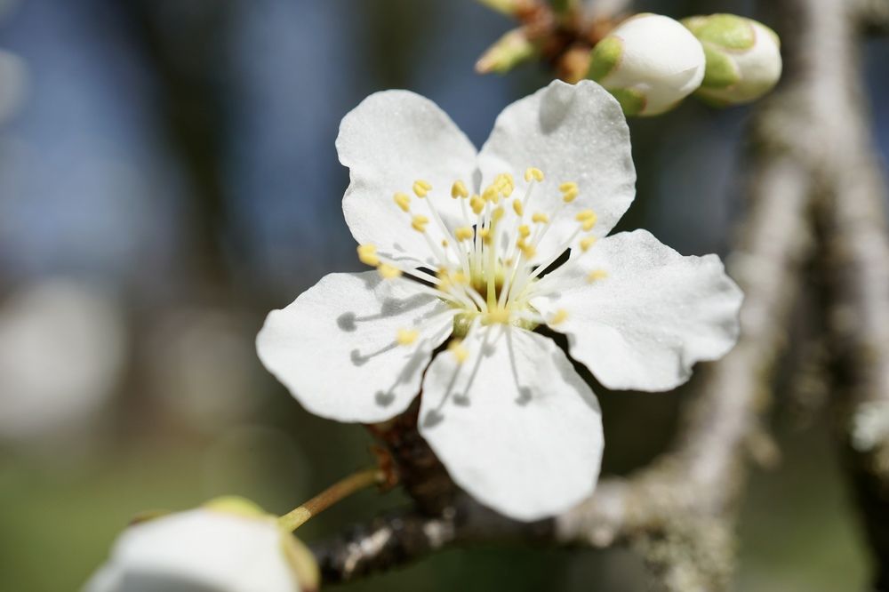 Фотография автора Liudmila Kiermeier