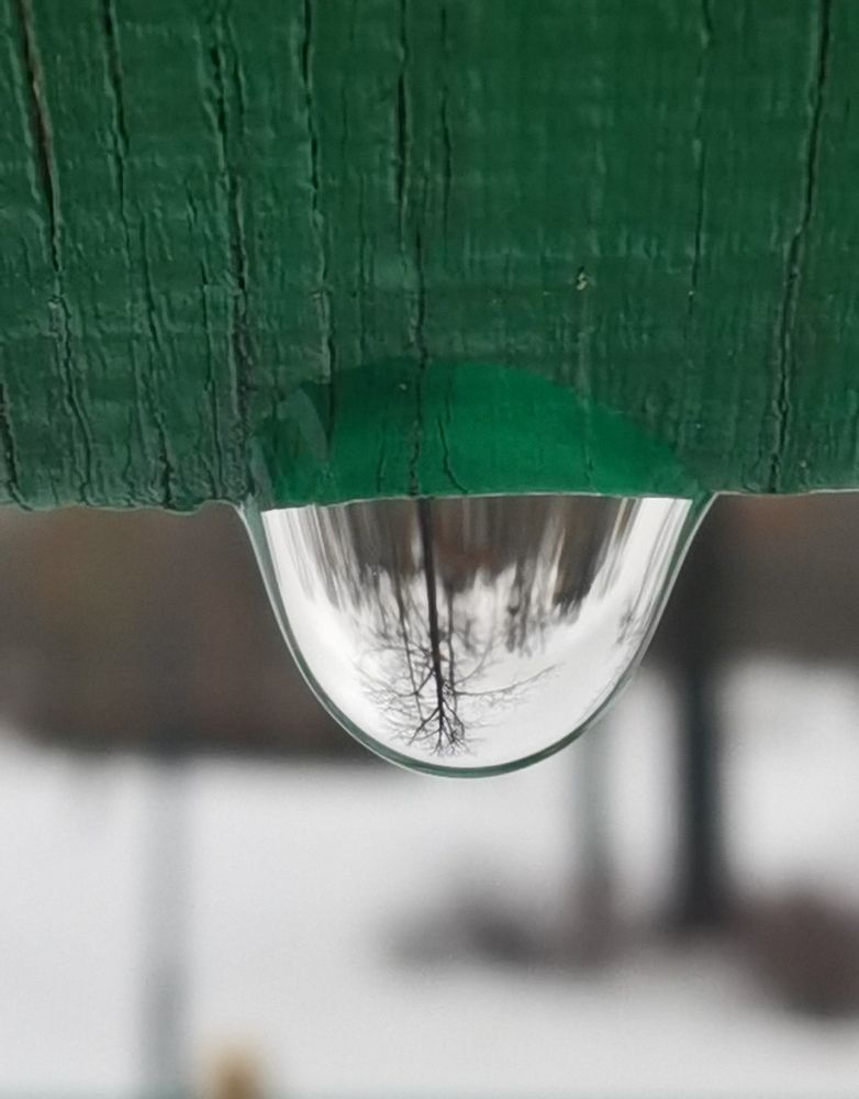 Photograph by Олеся Газиева