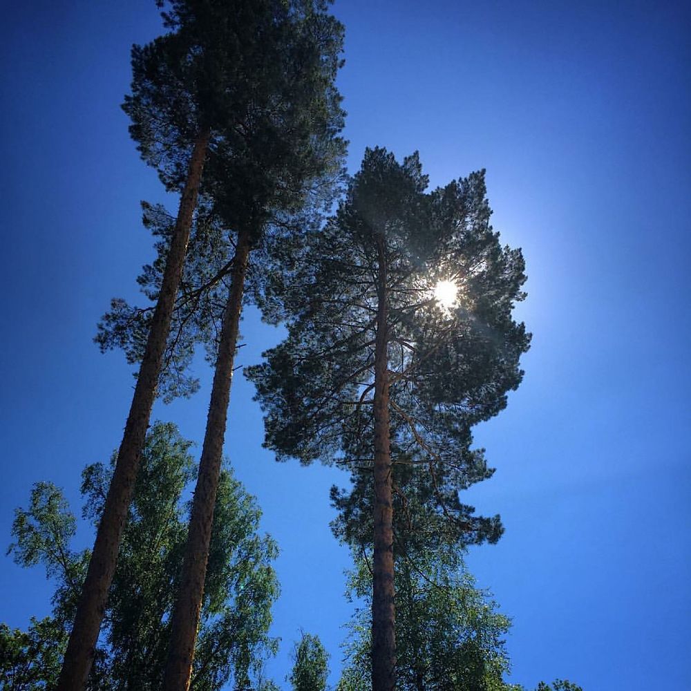 Photograph by Наталия Любчикова