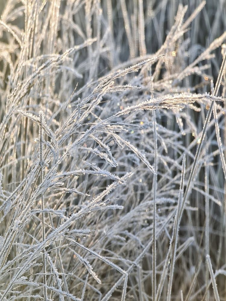 Photograph by Светлана Смирнова