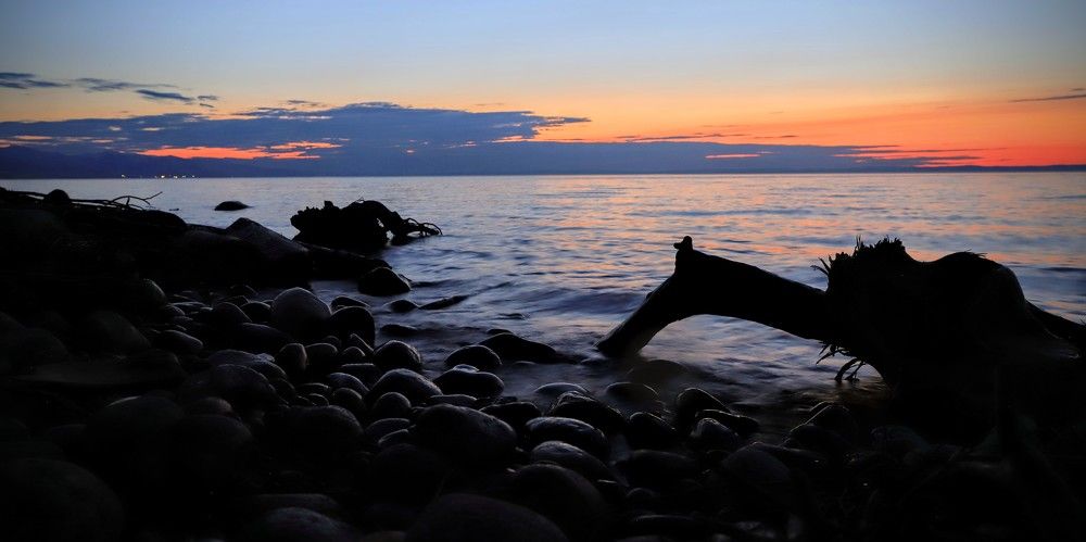 Фотография автора Георгий Петров