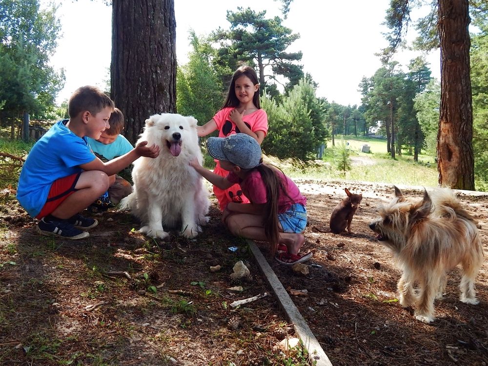 Photograph by Юрий Пучков