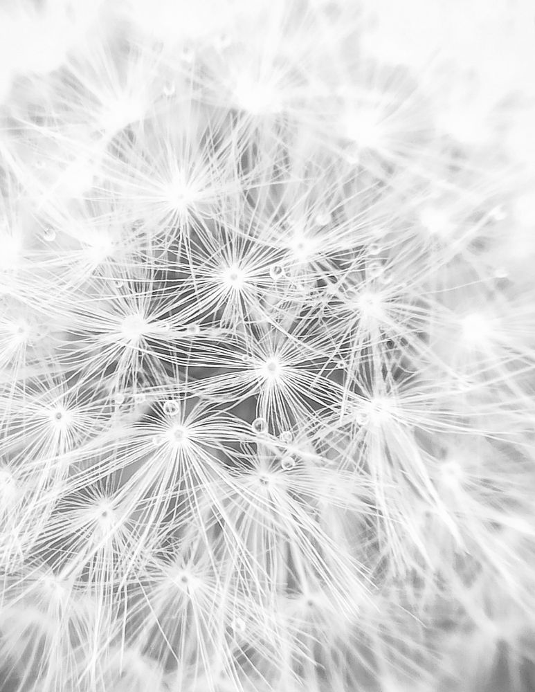 Photograph by Ольга Ситникова