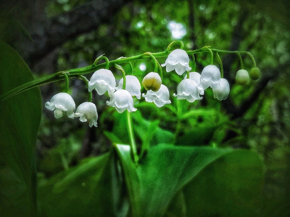 Photograph by Марина Мальцева