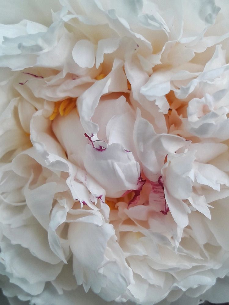 Photograph by Марина Мальцева