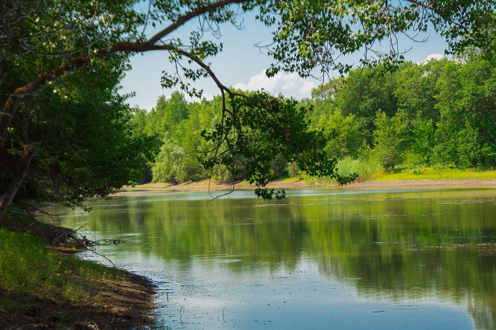 Photograph by Наталья Коржова