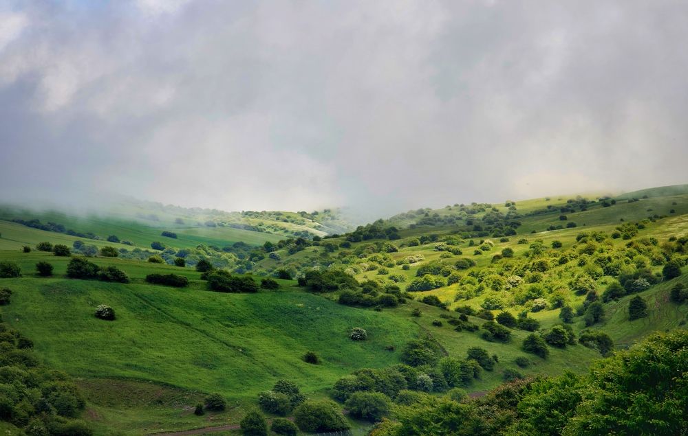 Фотография автора Hadis Rezayati