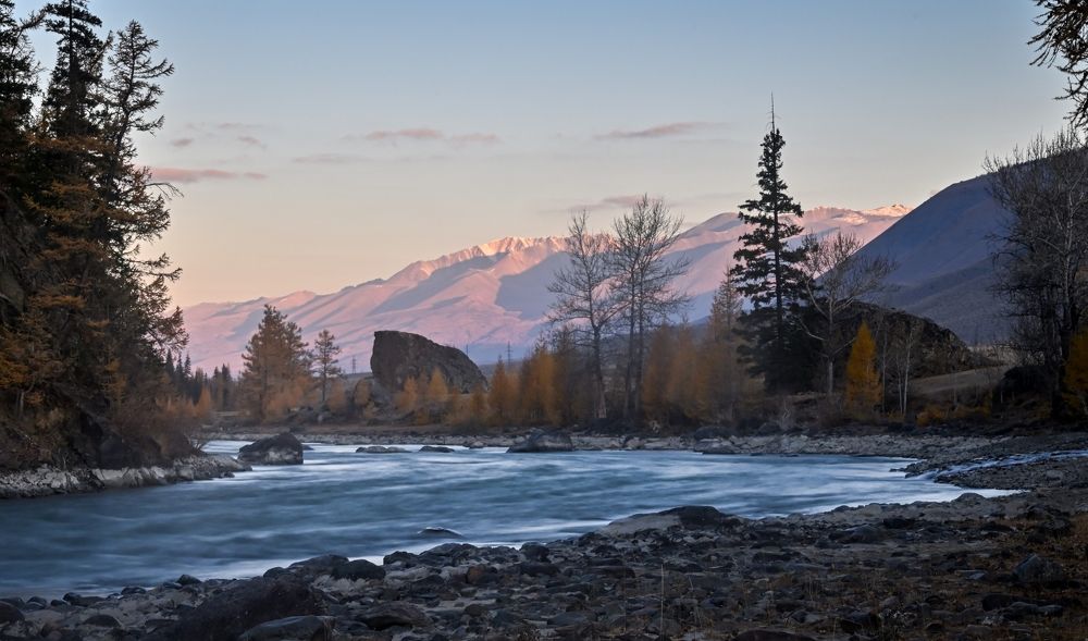 Утро на берегу Чуи