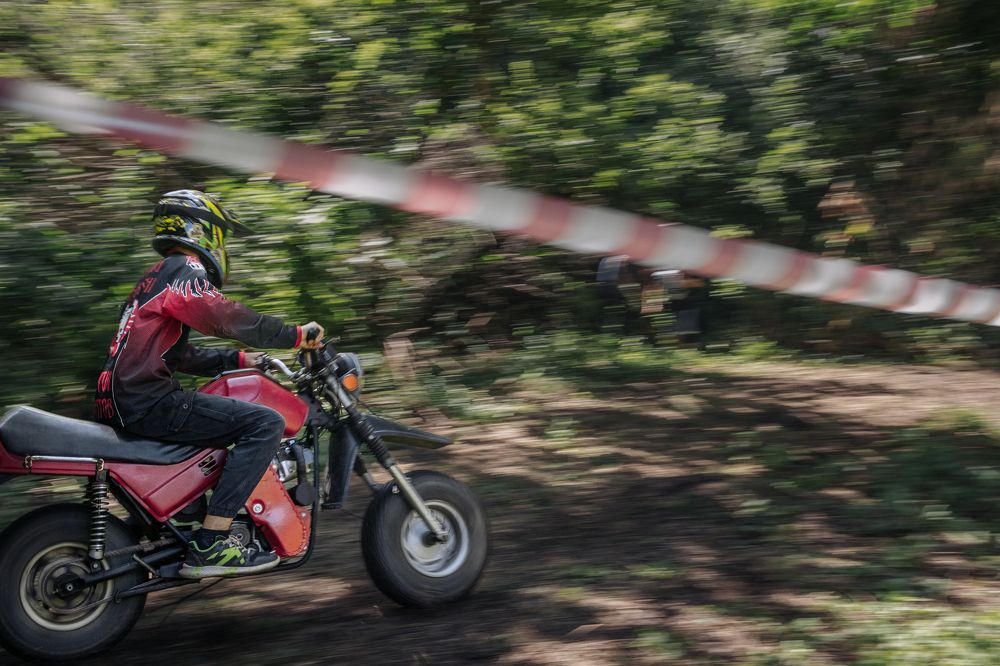 Фотография автора Никита Гамаюнов