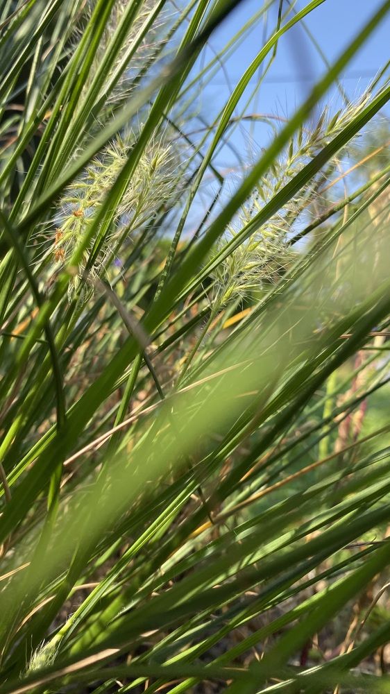 Photograph by Tatjana Schlag