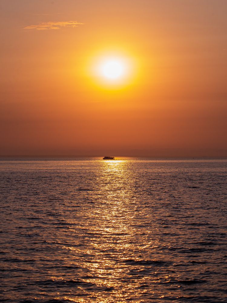 Photograph by Дмитрий Хорошилов