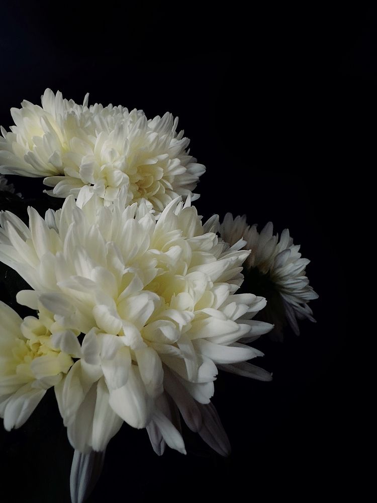 Photograph by Диана Бадеева