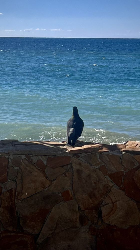 Photograph by Наталья Никитина