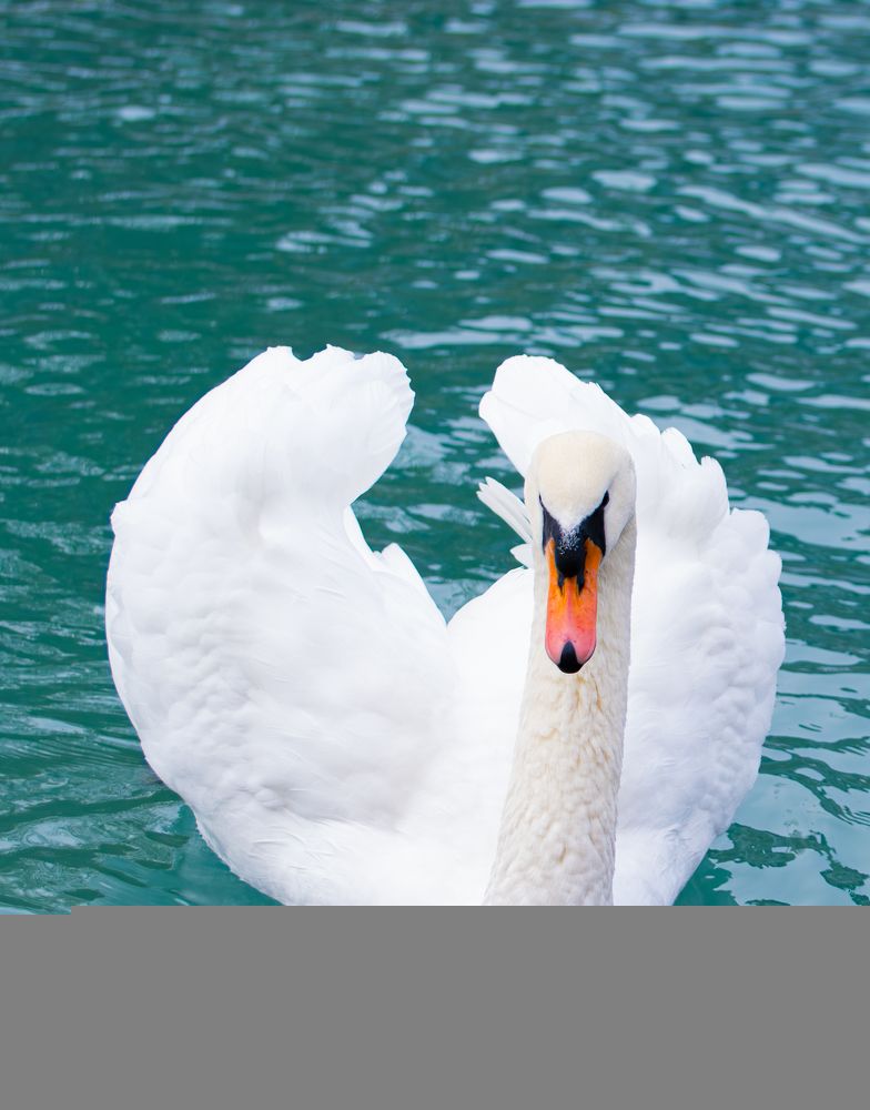 Photograph by Кристина Дегтярёва