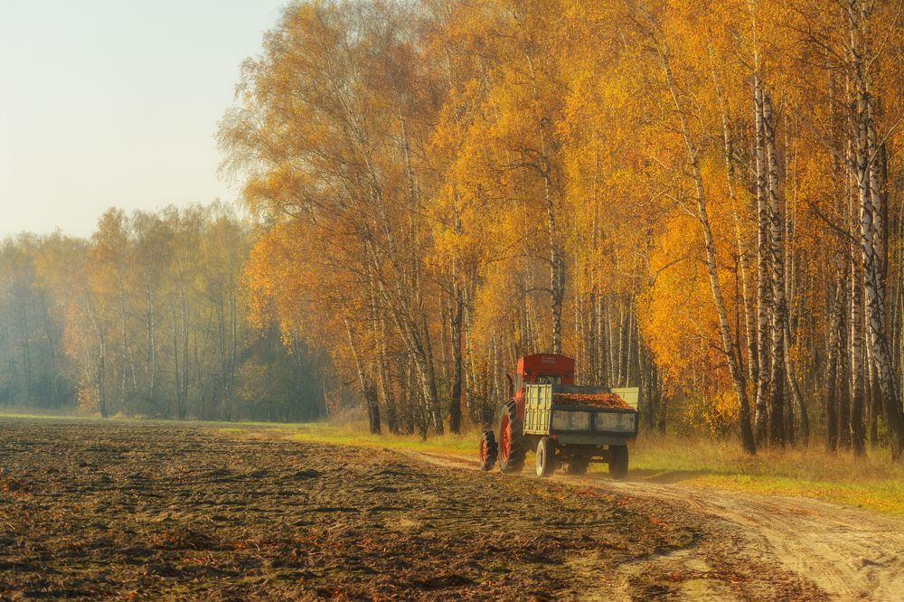 Photograph by Сергей Дишук