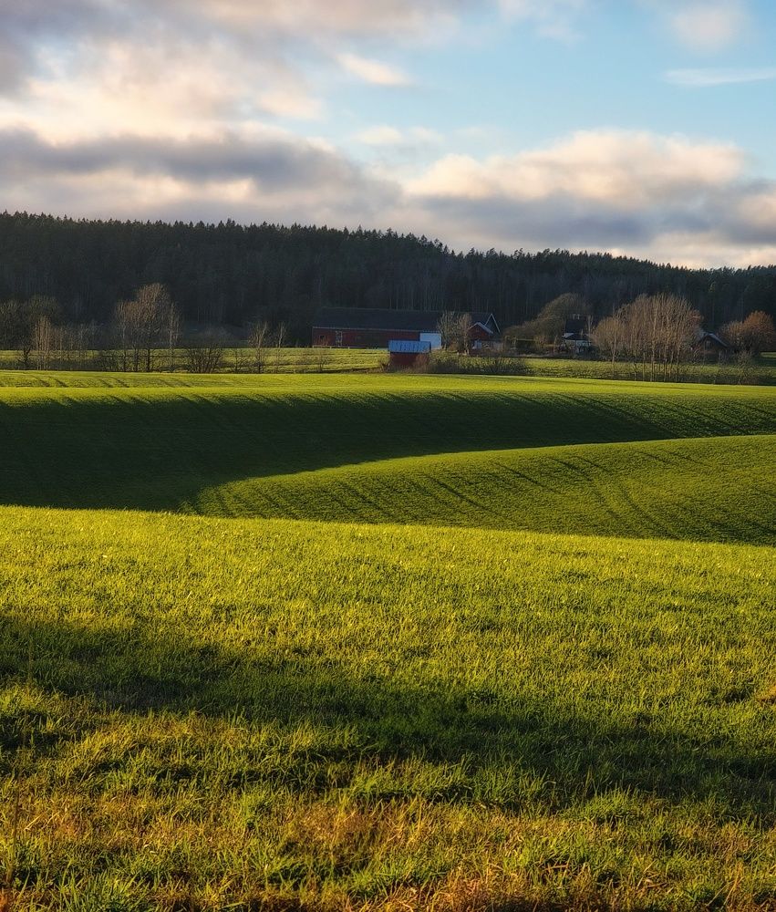 Фотография автора Alina Filimonova