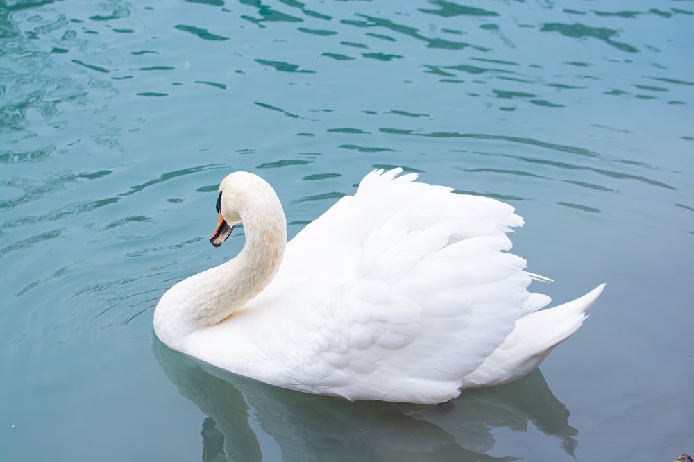 Photograph by Кристина Дегтярёва