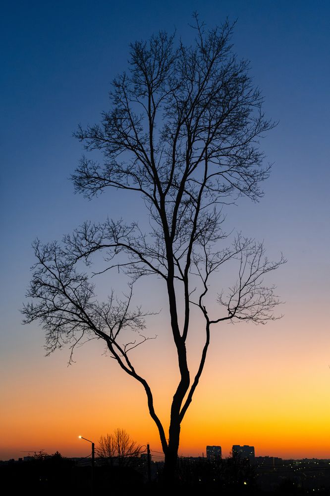 Photograph by Вертиков Юрий