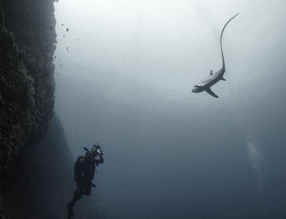 Photograph by Савин Андрей