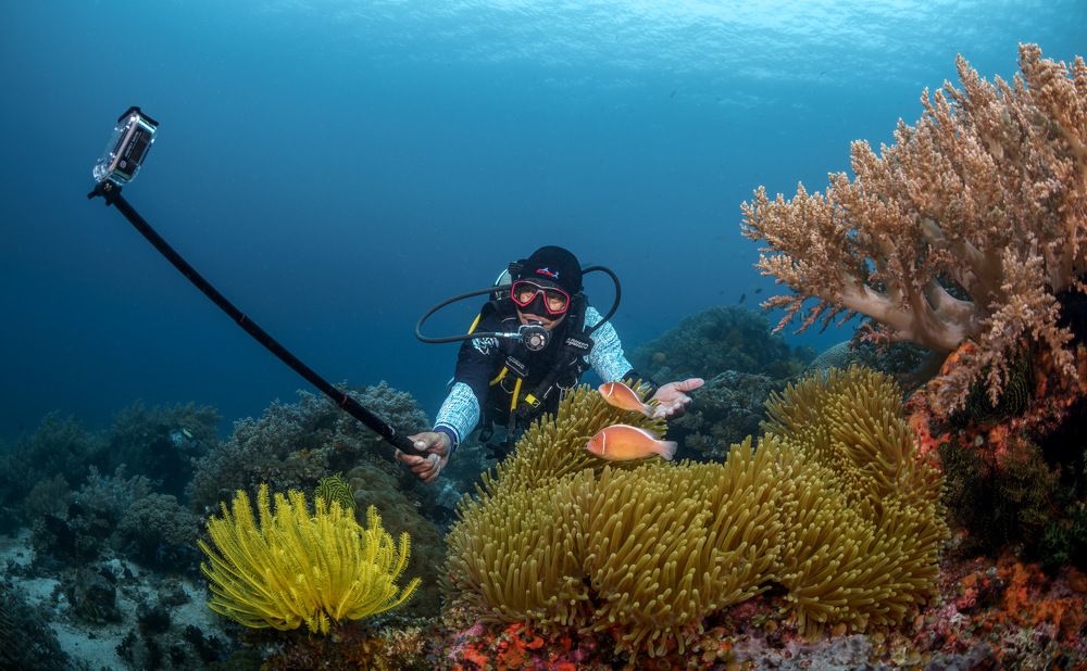 Photograph by Савин Андрей