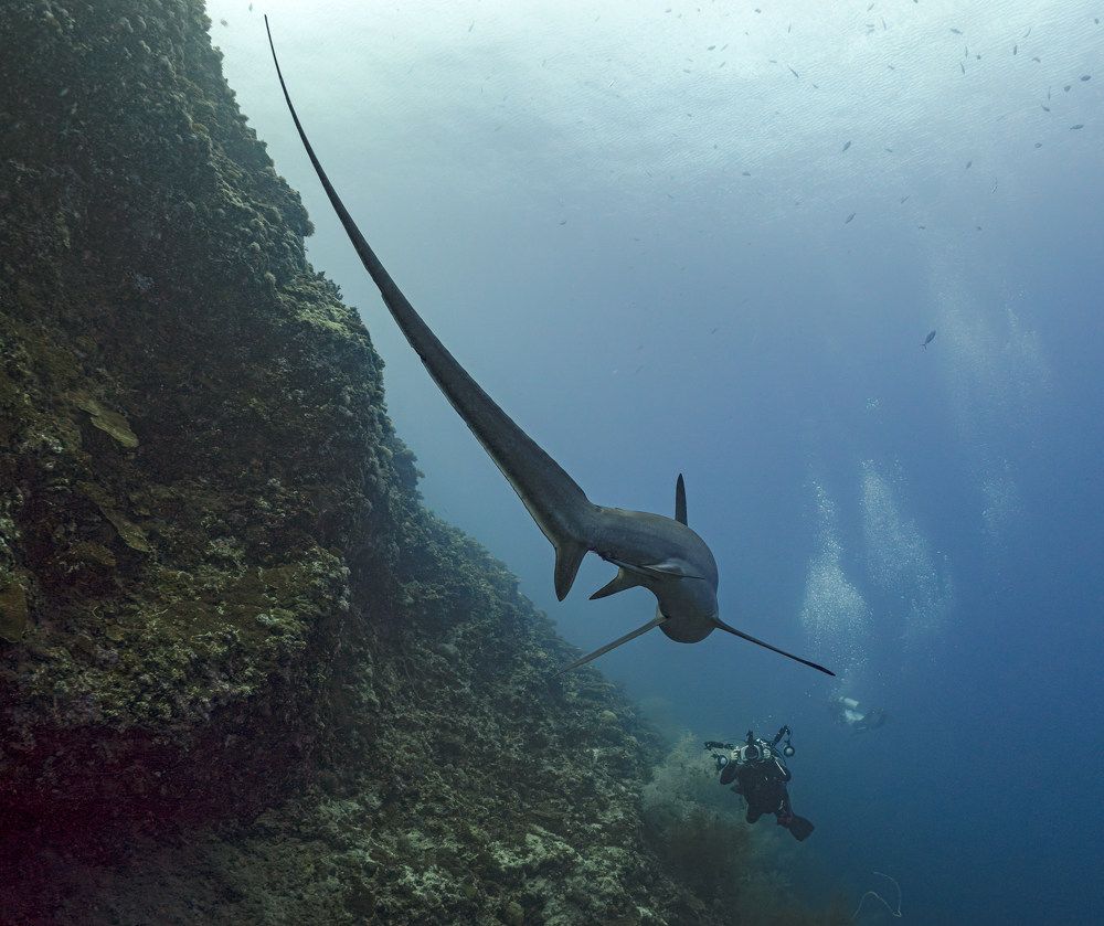 Photograph by Савин Андрей