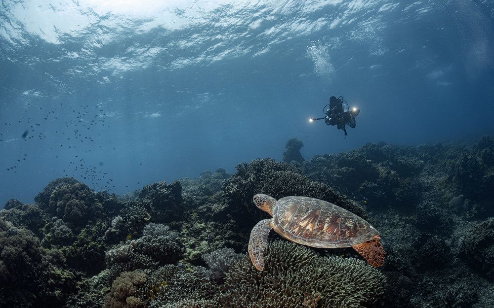 Photograph by Савин Андрей