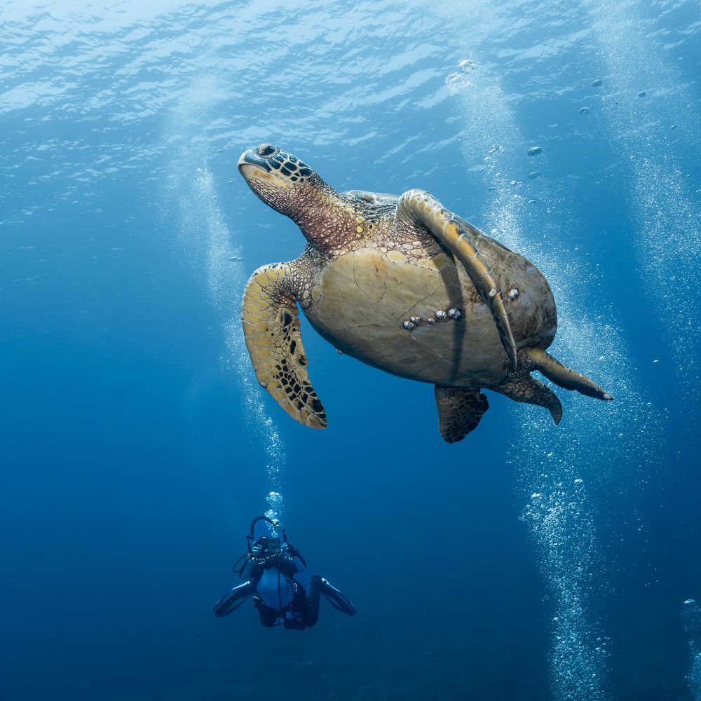 Photograph by Савин Андрей