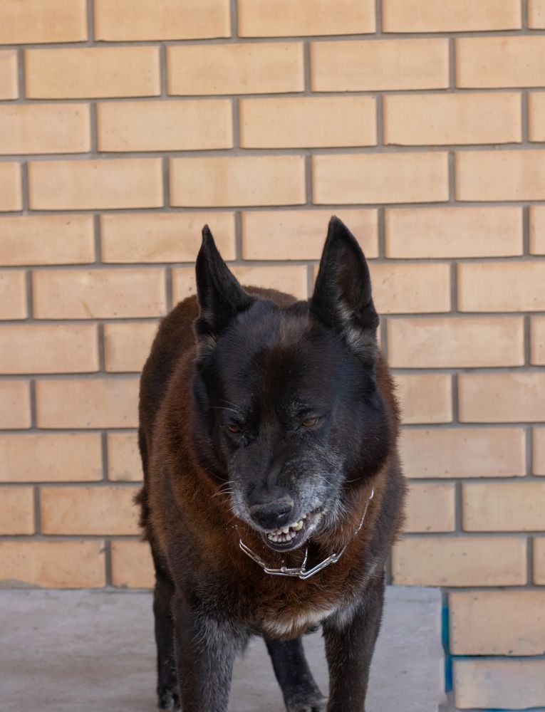 Photograph by Инна Леонтьева