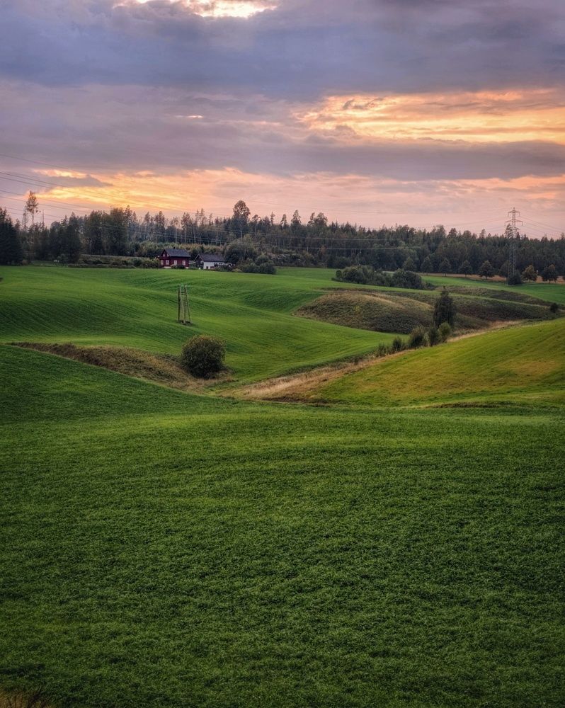 Фотография автора Alina Filimonova