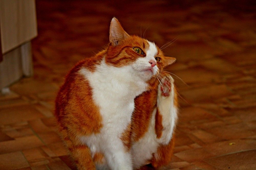 Photograph by Дмитрий Симагин