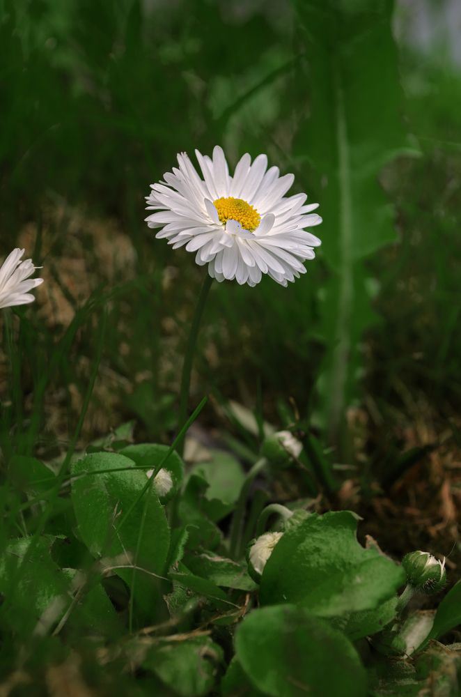 Photograph by Наталья Золотарева