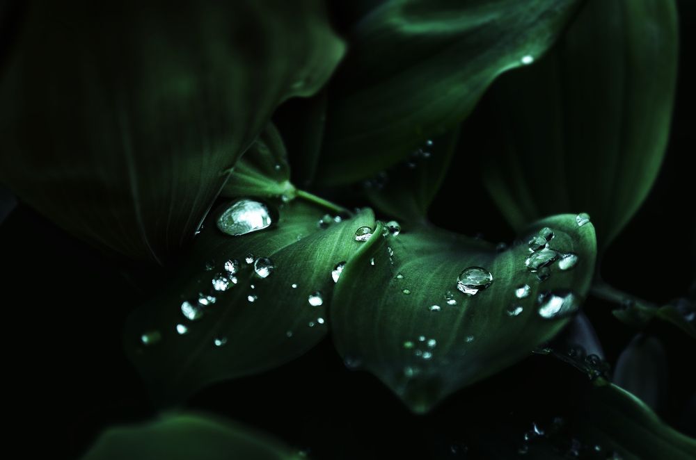 Photograph by Наталья Золотарева