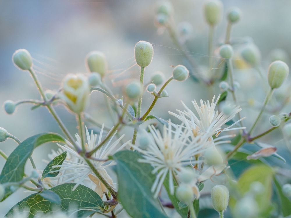 Photograph by Ирина Протченко