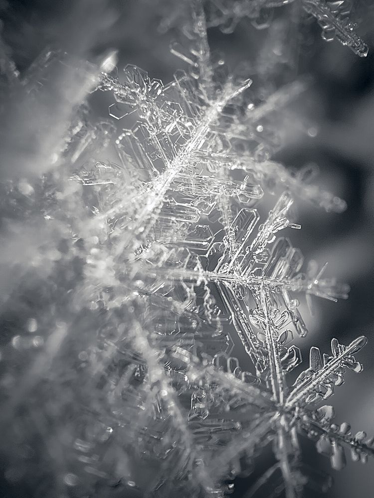 Photograph by Anna Vasenkova