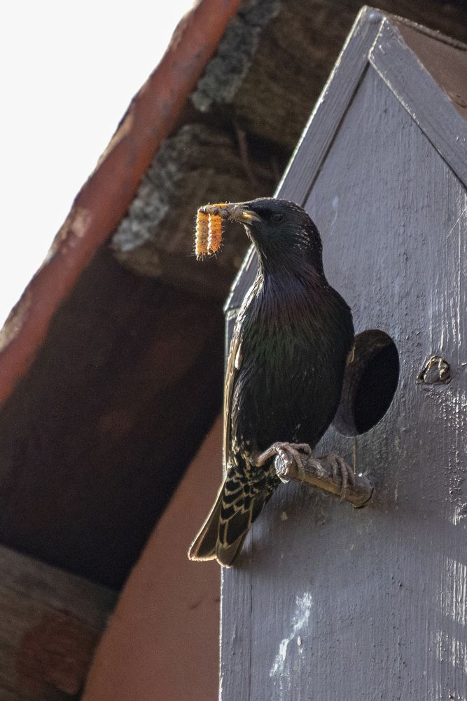 Photograph by Максим Мураков