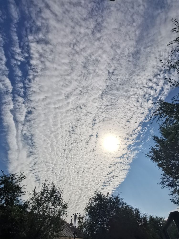 Photograph by Alexey Reznichenko