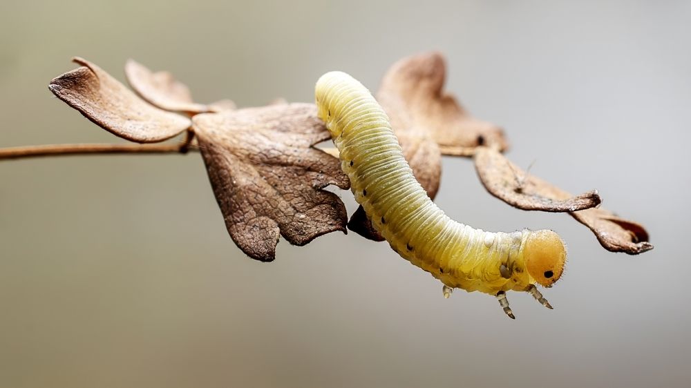 Photograph by Людмила Железнова