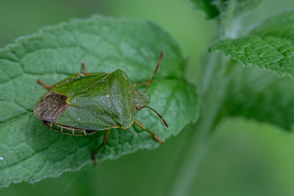 Photograph by Галина Суровицкая