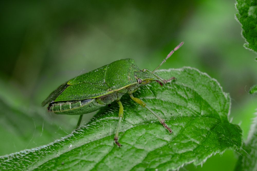 Photograph by Галина Суровицкая