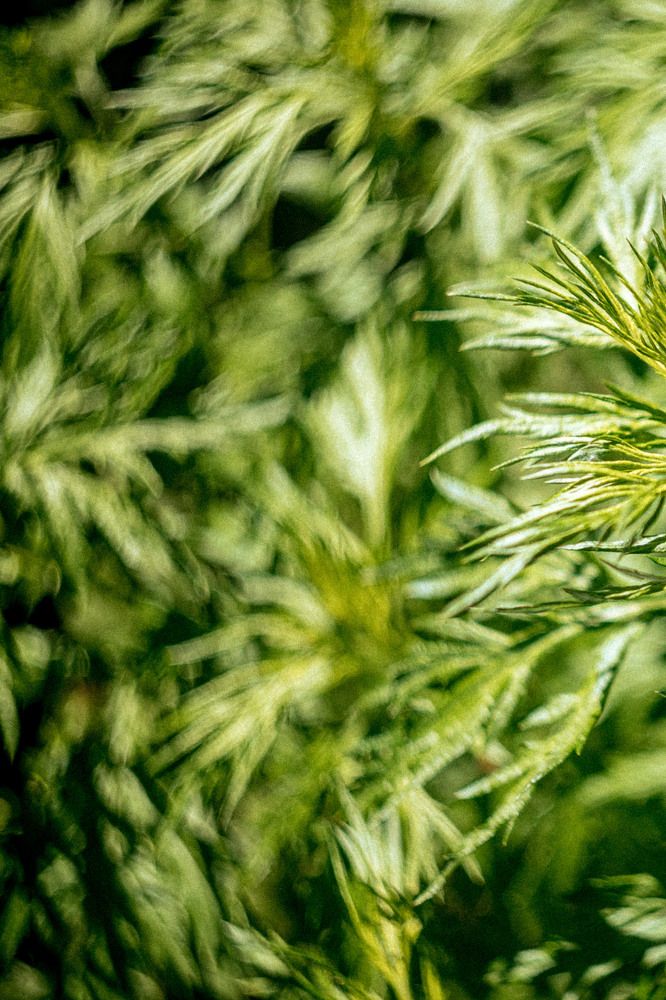 Фотография автора Михаил Балаев