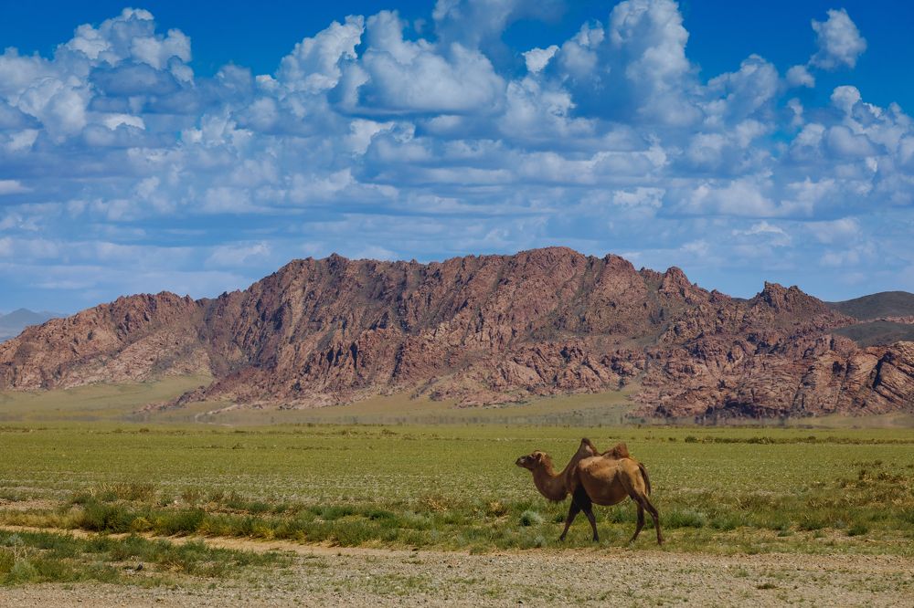 Фотография автора Евгений Печенин