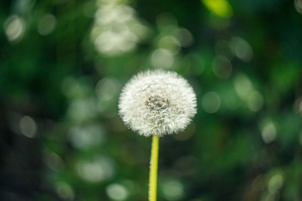 Фотография автора Михаил Балаев